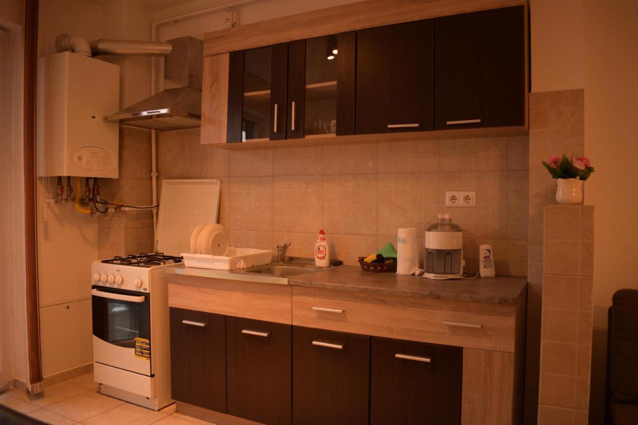 Apartament Alexandru Daire Sibiu Dış mekan fotoğraf